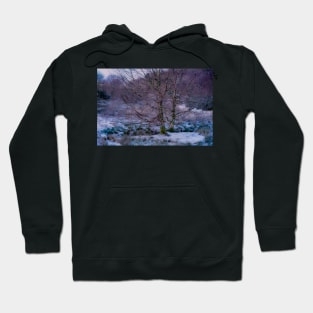 LET IT SNOW Hoodie